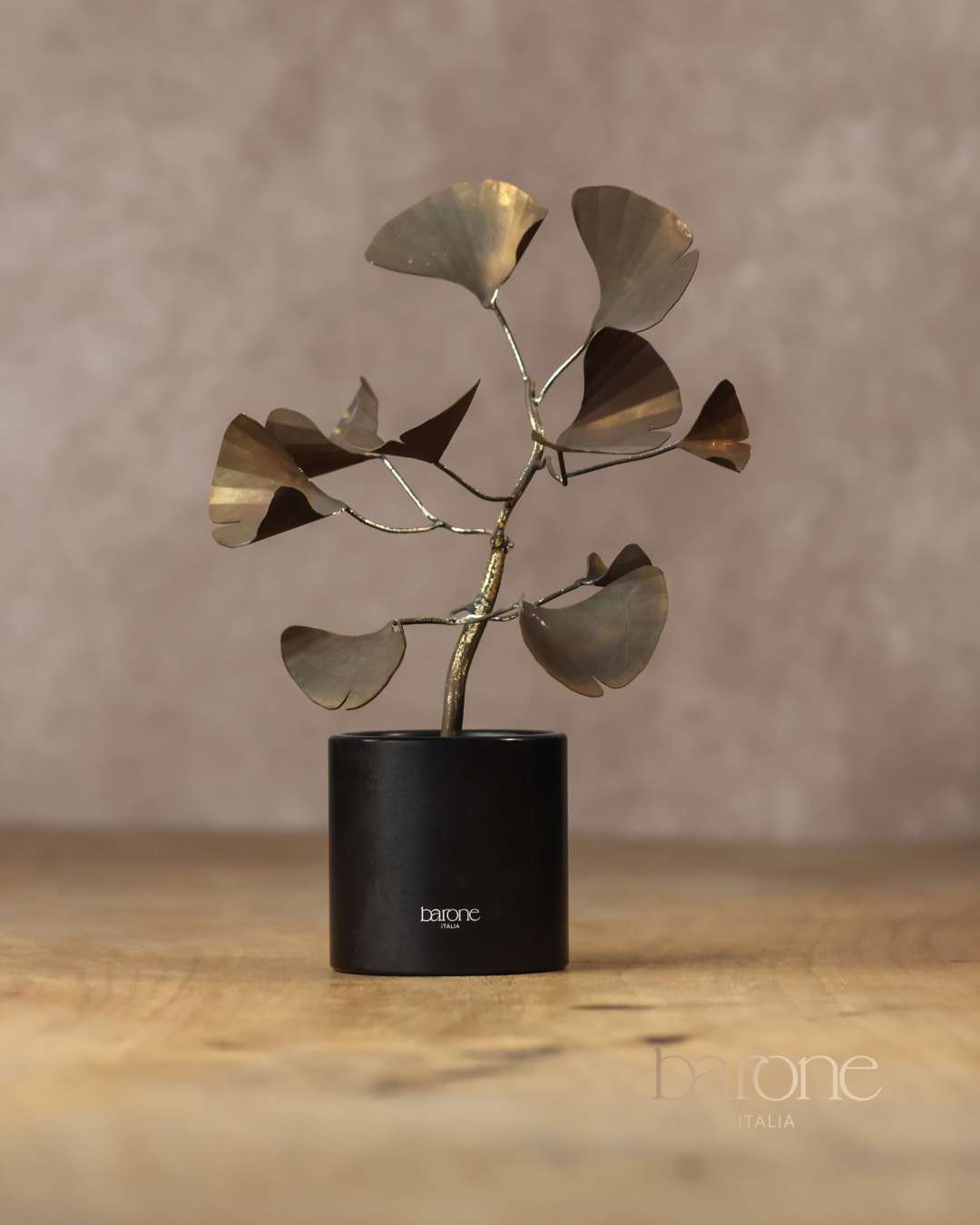 Ginkgo Biloba Vasetto BARONE ITALIA